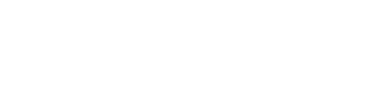 divalto-logo-blanc