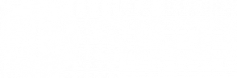 logo-silae